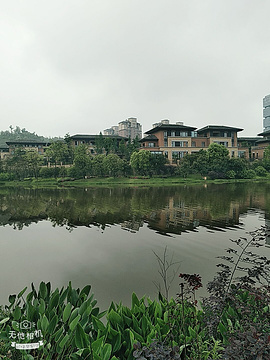 御景林休闲山庄游乐园