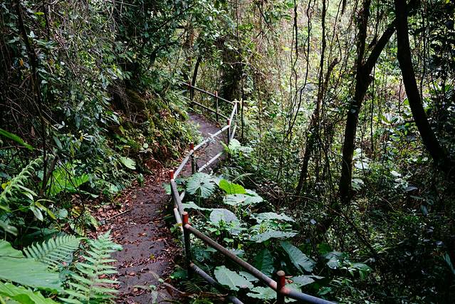 广东佛冈观音山省级自然保护区