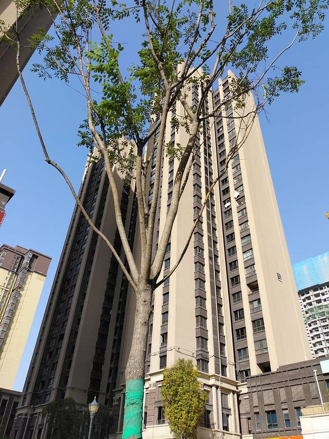 四海唐人街商业展示中心