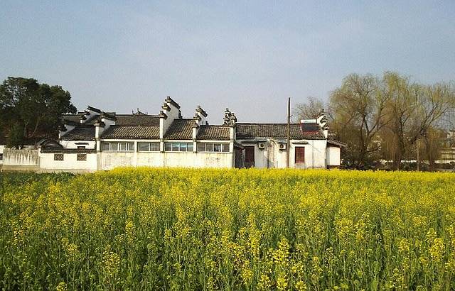 绿能林业生态园