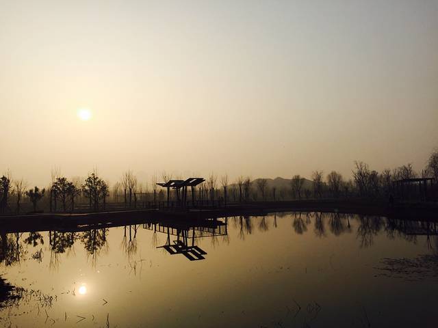 北龙湖湿地公园