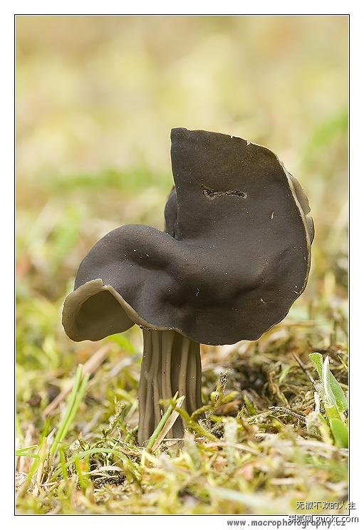 老牛湾如家农庄