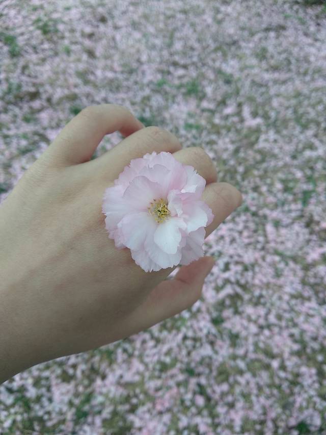 北京工业大学耿丹学院