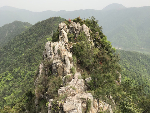 白溪村菜市场旅游景点图片