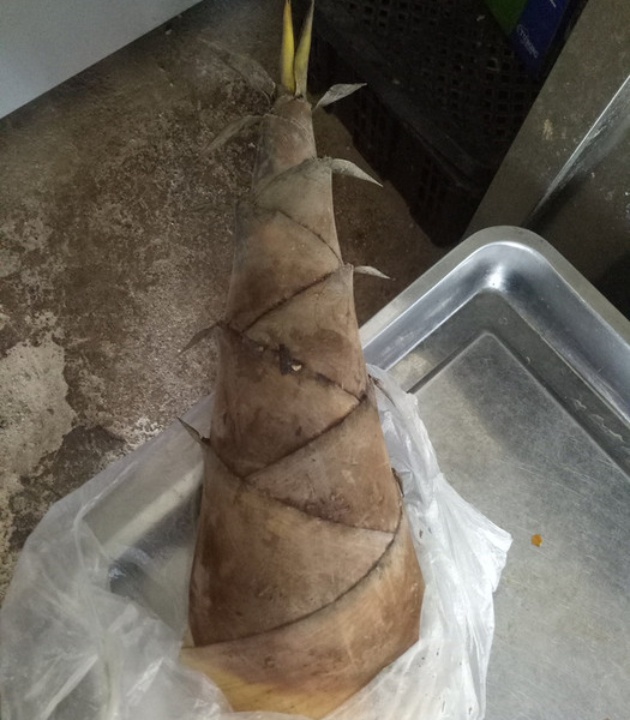 哈尼柴火鸡