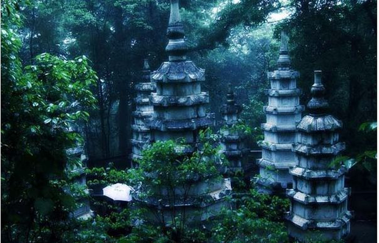 岐山国家森林公园