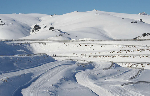 Snow Farm NZ的图片