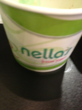Nella's Frozen Yogurt的图片