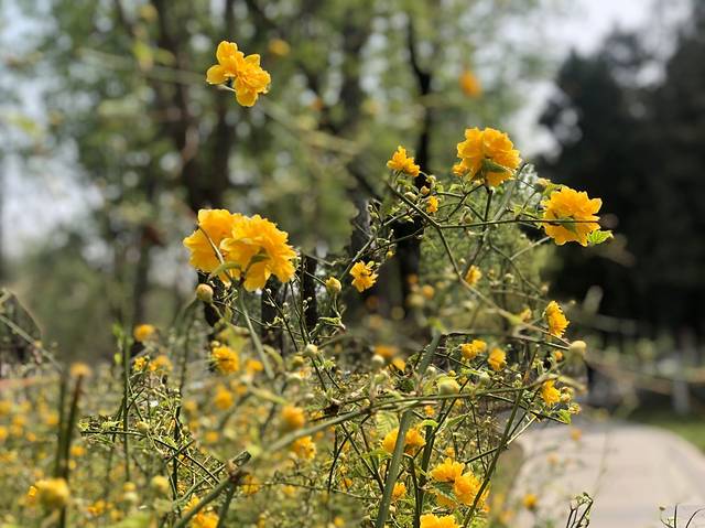 护城河休闲公园