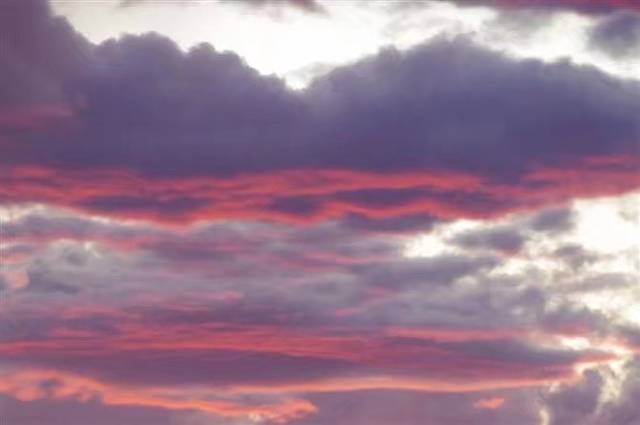 顺姬冷面(延大店)