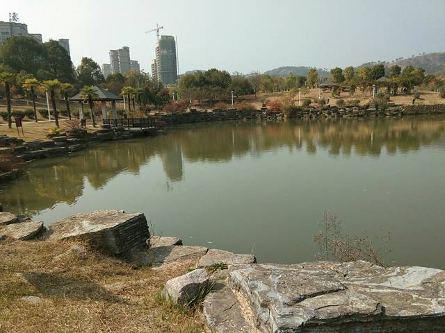 桐城市西郊公园