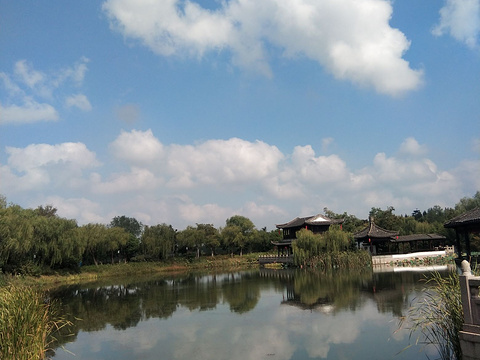 尚湖水上森林旅游景点图片