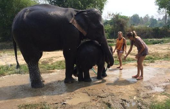 大象修养公园旅游景点图片