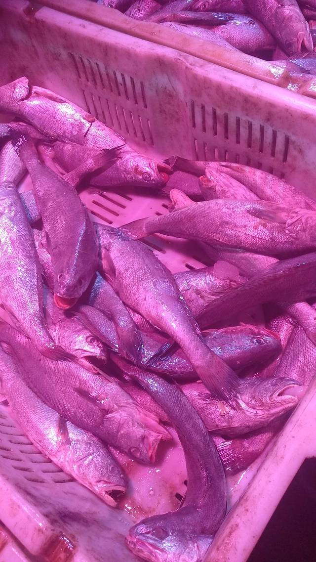 南山农副产品批发超市