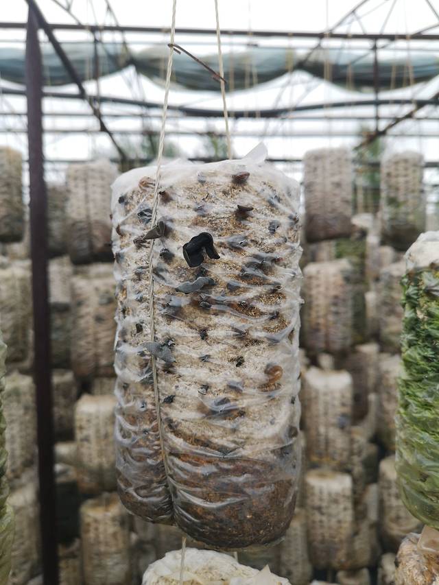 宝荣中俄农副产品批发市场