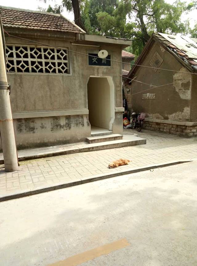 蒿家扒鸡(棋盘街店)