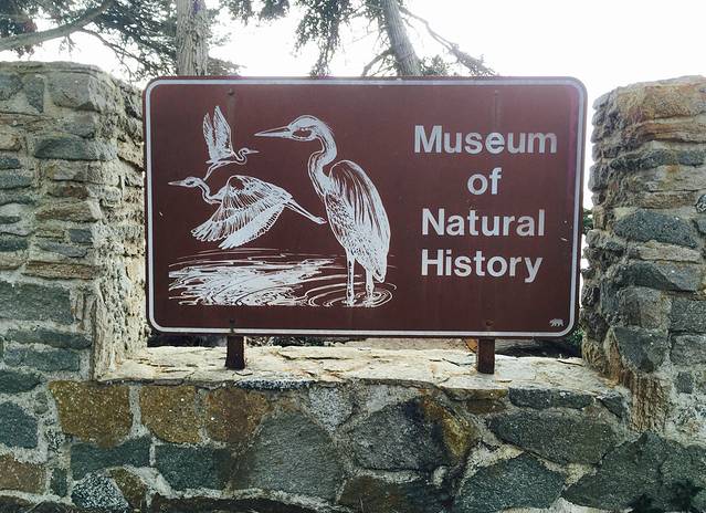 Museum of Natural History