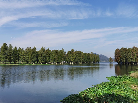 四明湖的图片