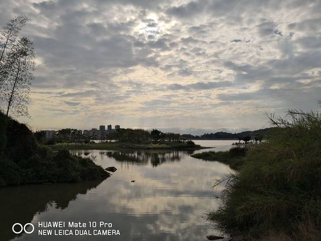韩江金山大桥湿地公园
