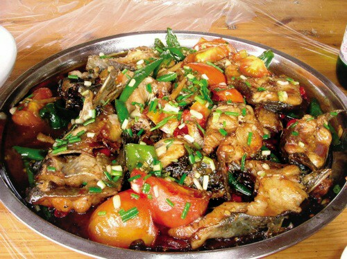 庆岭祝君发活鱼酒店·餐厅