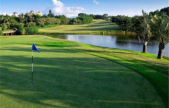 棕榈岛高尔夫球会旅游景点图片