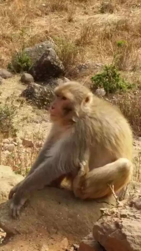 宝鼎生态旅游景区