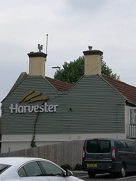 The Harvester的图片