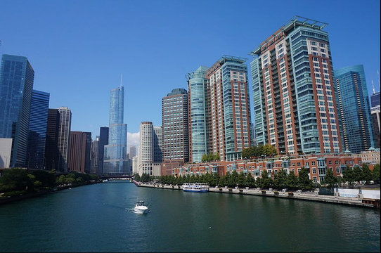 建筑基金会芝加哥河观光游船旅游景点图片
