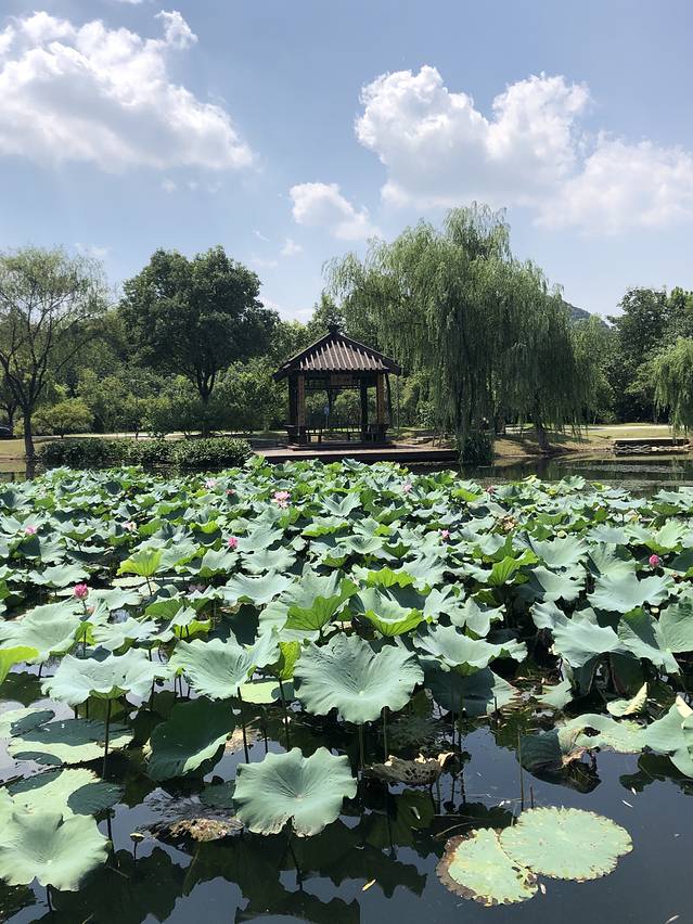 浙江工业大学(屏峰校区)