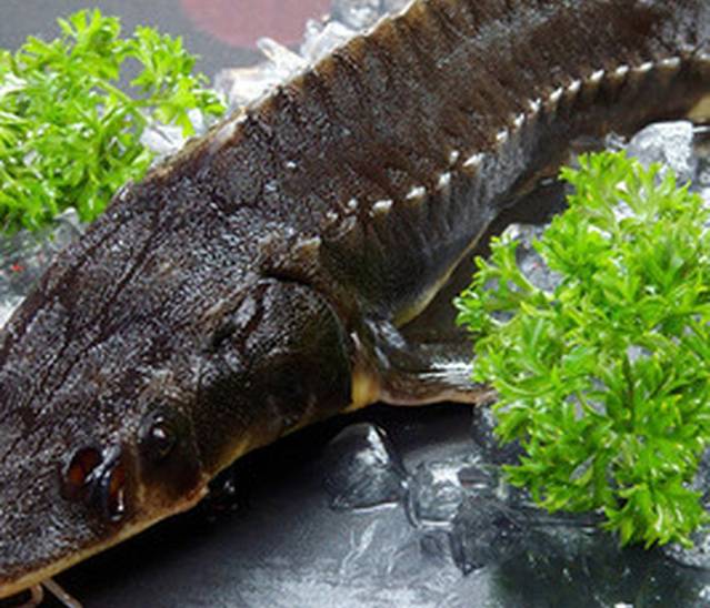 玉福记老家饺子(科技馆店)