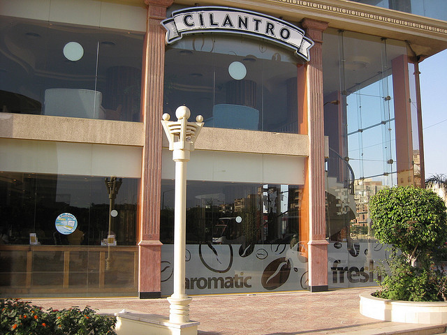Cilantro（Mohamed Mahmoud St.店）