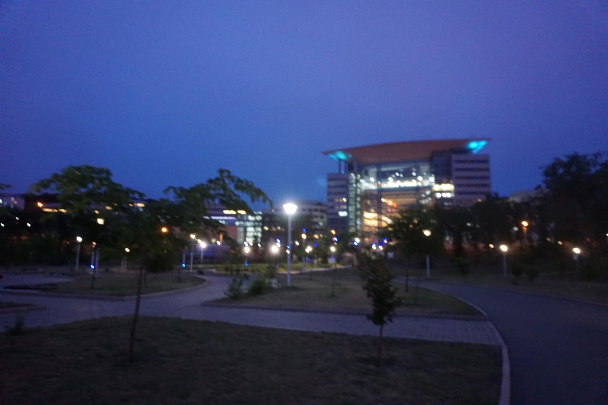 俄罗斯远东联邦国立大学