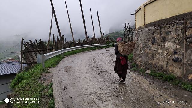 扎尕那山景藏家乐