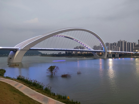 南宁大桥旅游景点图片