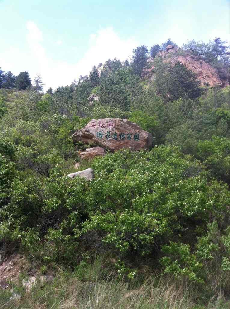 马鞍山国家森林公园景区