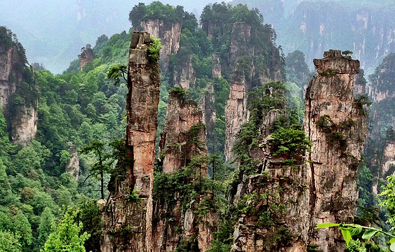 西海峰林旅游景点图片