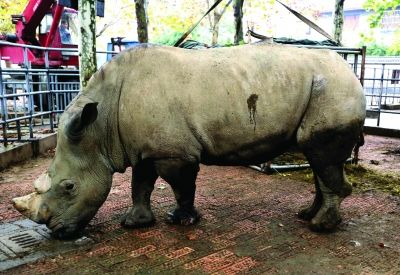 新浦公园动物园