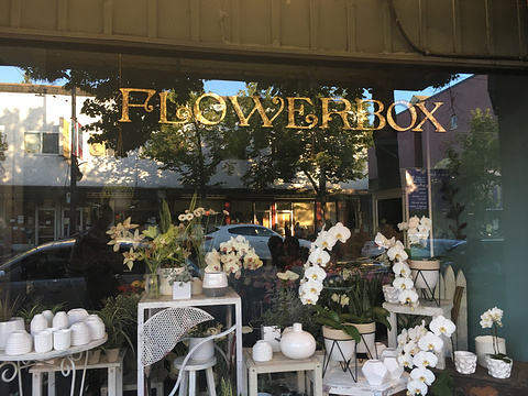 The Flowerbox