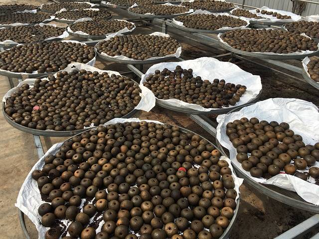 江门市福新陈皮茶业有限公司