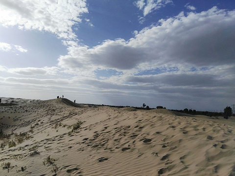 库布其国家沙漠公园的图片