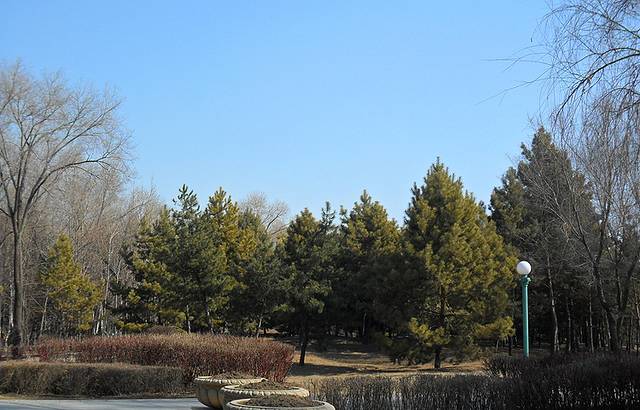 俄罗斯小镇油画馆