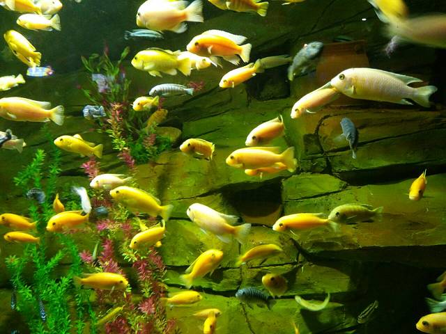 中国临沂国际书圣文化城