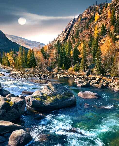 肯德基(万家乐店)