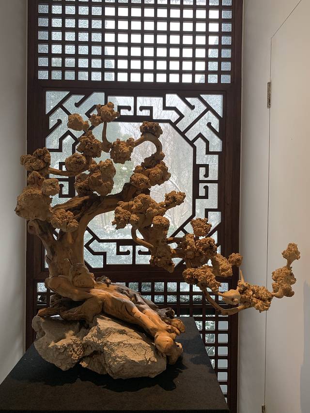 中国梅花艺术中心