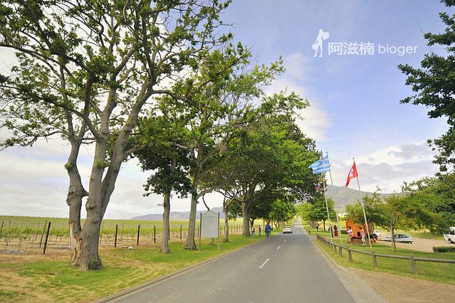 DURBANVILLE HILLS农庄