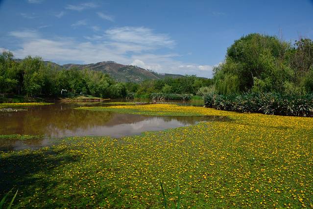 梦里水乡湿地公园