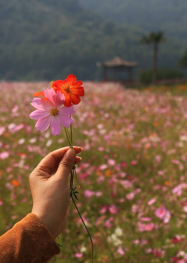天湖生态旅游度假