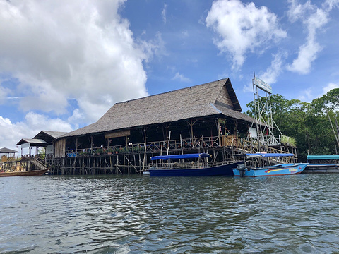 Bintan Mangrove Discovery - Day Tour旅游景点图片