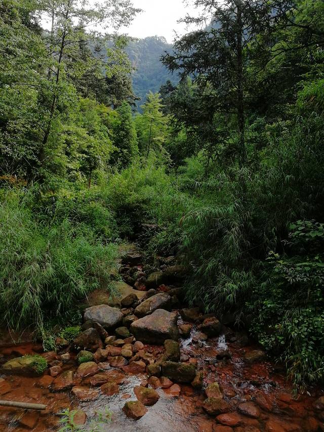 大圆洞国家森林公园