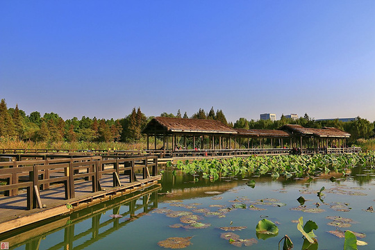 渤公岛生态公园旅游景点图片